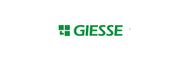 Giesse
