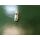 ROTO Centro Abdeckkappe Mittelschließer Rahmenteil M490A6300 62820049 Weiß Raum1R1/64