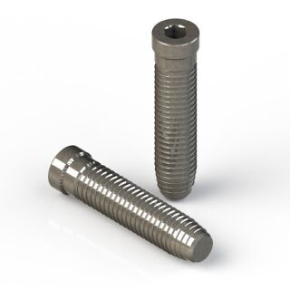 Giesse Befestigungsschraube zu Domina Band  L 55 mm A 1 42 mm  ; 12x55 verzinkt
