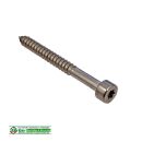 Holzschraube Konstruktionsschraube Zylinderkopf - Torx  5...