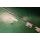 HAUTAU ROTO | HKS | Dorn 40 | Gr 1690 | FFH 2001- 2200 mm | 2 E-Zapfen R3W4/15