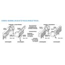 Mini- Kegelradgetriebe Kurbelgetriebe Rolladengetriebe 3:1 für SW 40, Antriebss. 6mm Links VR8/072