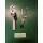ABUS Fenstergriff abschließbar FG 300 silber200NM inkl. 2 Schlüssel AL0145 gleichschließend