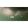 MACO Getriebe EH Gr. 1B Dorn 15mm konstant ohne Kippschwinge mit 1 Pilzzapfen FFH 601-800 GM 300 Silber Raum10R3RS