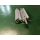 HARTMANN Scherenlager 70x40mm Silber lackiert FachX2384
