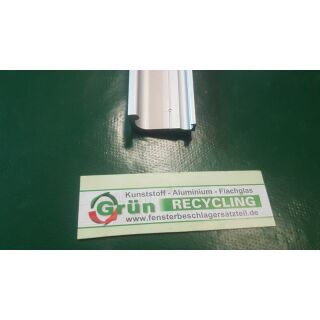 HAUTAU Laufschiene 5/2 HKS200 EV1 Silber, gelocht Länge 2990 mm PodestW1