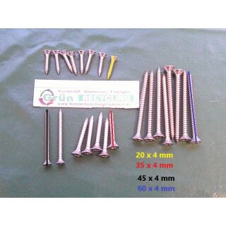 HAUTAU BZ HS Schrauben BL4 A2 Beutel RaumX952