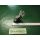 ROTO Eckband .H.12/18-9 20MM SL......VIS.Rechts