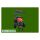Traktor Kioti (Daedong) - Kioti Trecker CK35 HST