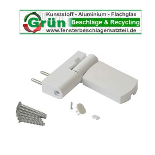 ROTO Haustürband Türband PS 23 , PS23 RAL9016 - 20-23,5 FachVR3/308