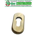 Schieberosette 73 x 33mm - Stärke 6mm - Gold...