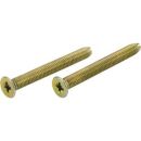 Schraubenbeutel DIN 965 M5,0x40 vz (2 St