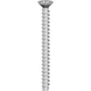 Senkblechschraube K600 6x60 mm