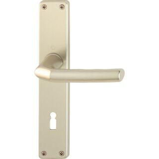 HOPPE Birmingham ZT-Garnitur 1117/202SP BB F2 neusilber VRFR