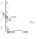 Siegenia  Grundkarton HS300-KF A0206 TS PMKB4000 FachP3423
