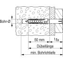 Fischer Rahmendübel SXR 10x180 T