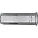 Fischer Einschlaganker EA II M 10
