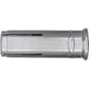 Fischer Einschlaganker EA II M 10